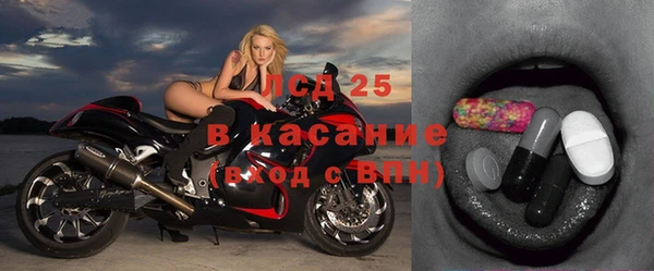 дживик Туринск