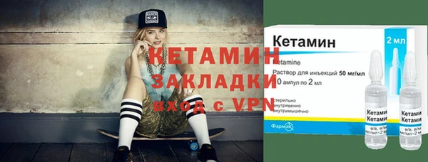 дживик Туринск