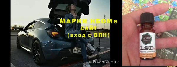дживик Туринск