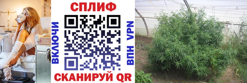 Бошки марихуана SATIVA & INDICA  Купить  Новотроицк 
